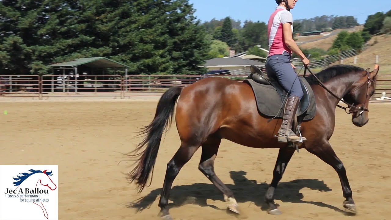 Foundational Fitness Exercise for your Horse