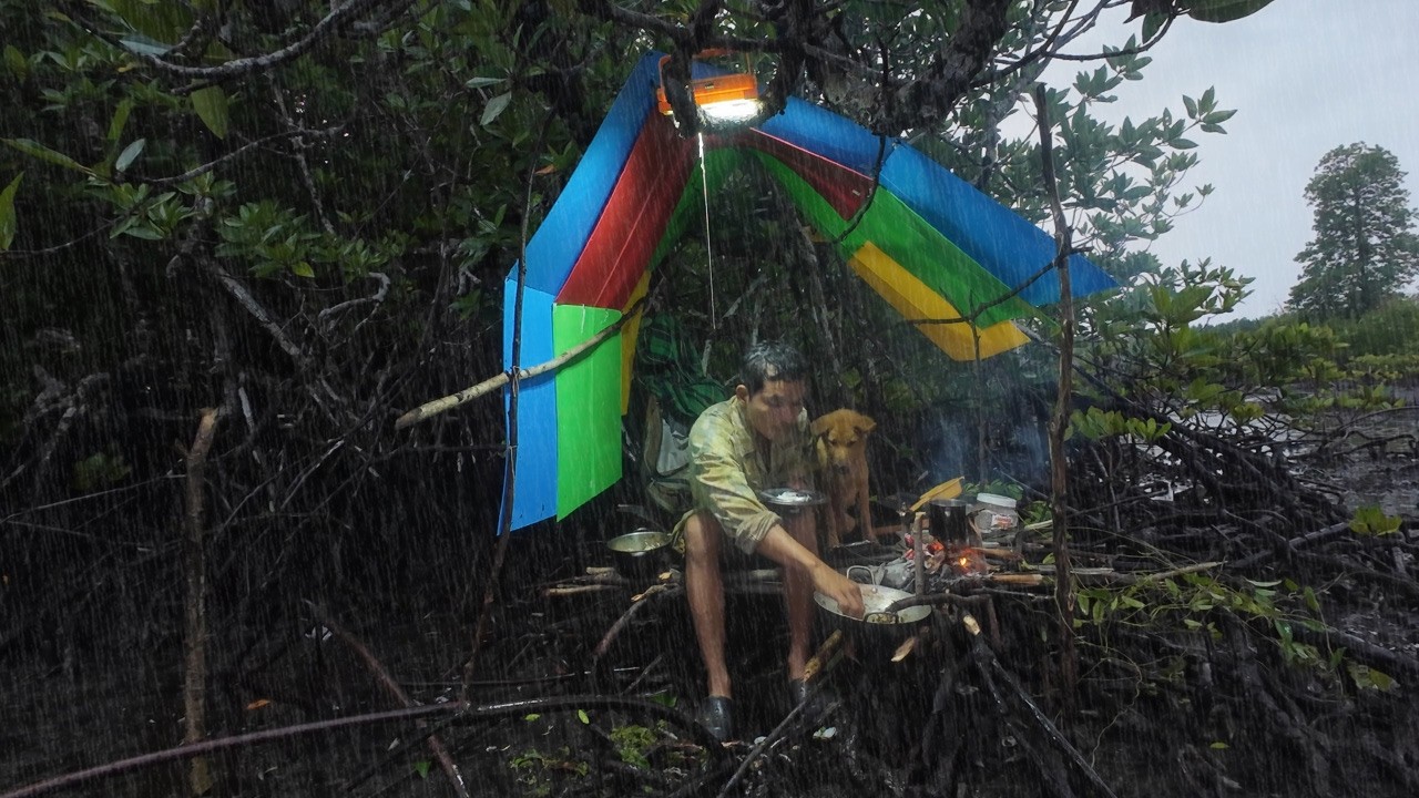 Heavy Rain Survival in Mangrove Forest | Building a Floating Shelter with My Dog!