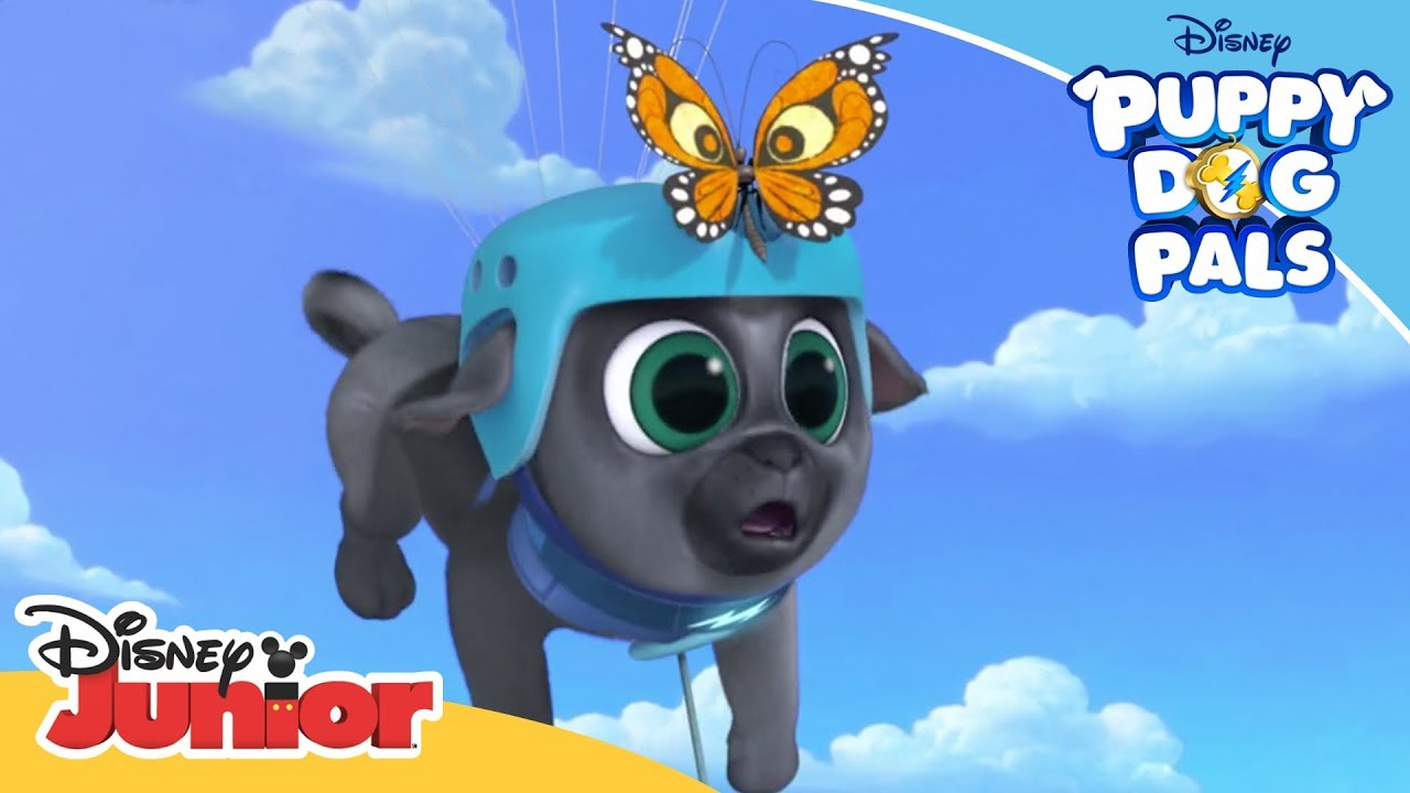 Take the Butterfly Home! | 🐶Puppy Dog Pals | Disney Channel Africa