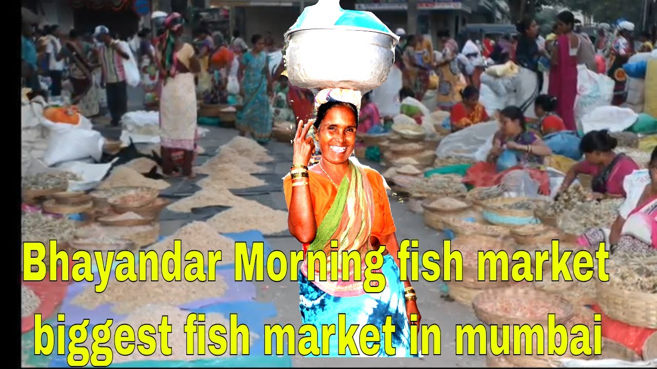 Bhayandar fish market biggest fish market in Mumbai early morning market Sunday early morning fish