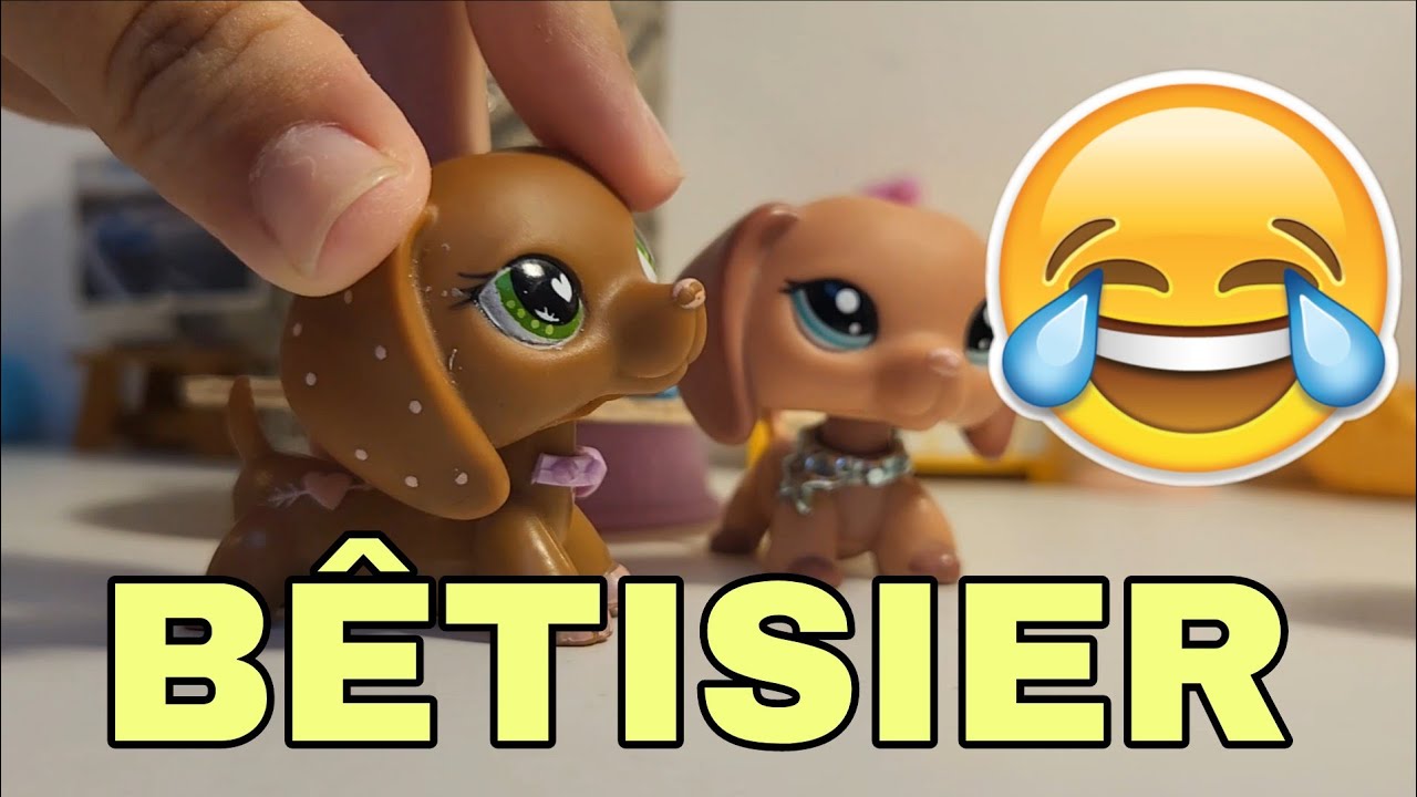 🤣BÊTISIER PETSHOP🤣[ÉDITION 2025 SPÉCIAL LPSTUBE]