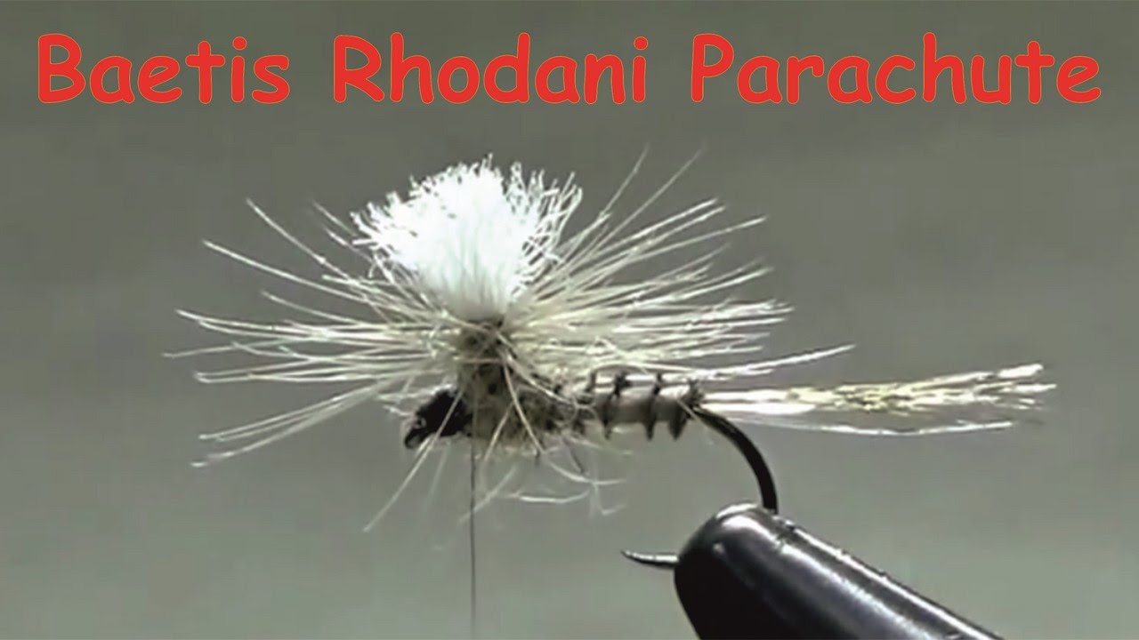 N°4 - Baetis Rhodani Parachute - Mardi 22 mars 2016