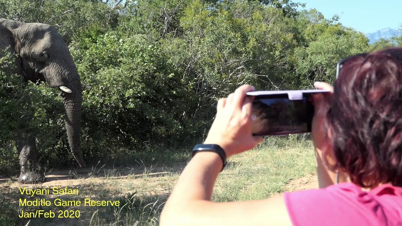 Vuyani Safari, Moditlo Game Reserve, South Africa