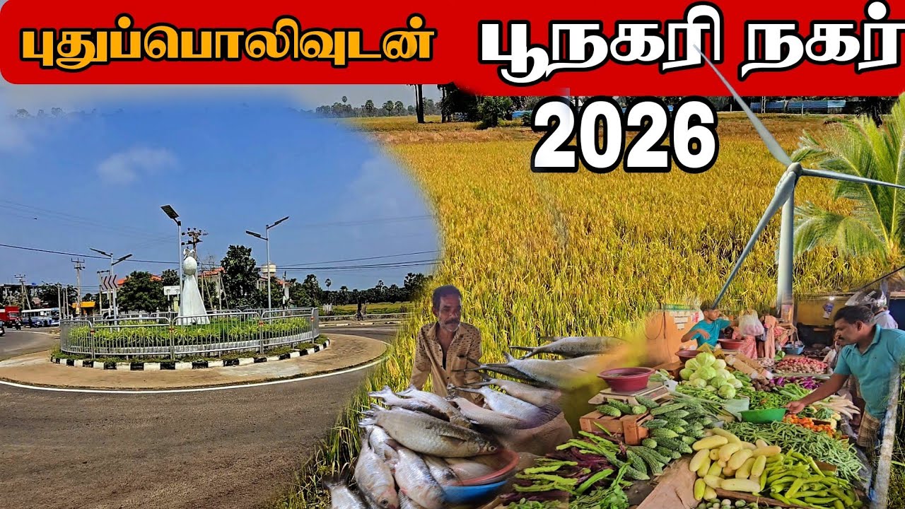 புதுமைகள் பலவற்றுடன் பூநகரிநகர்,பள்ளிக்குடா மீன்பிடியில் ஏற்பட்ட மாற்றம்Poonagari Pallikuda fishing😱