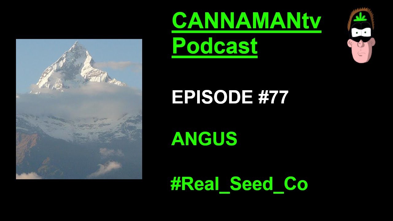 Angus (The Real Seed Co) - CANNAMANtv Podcast #77 - 'Hybridization, Preservation and Landraces''