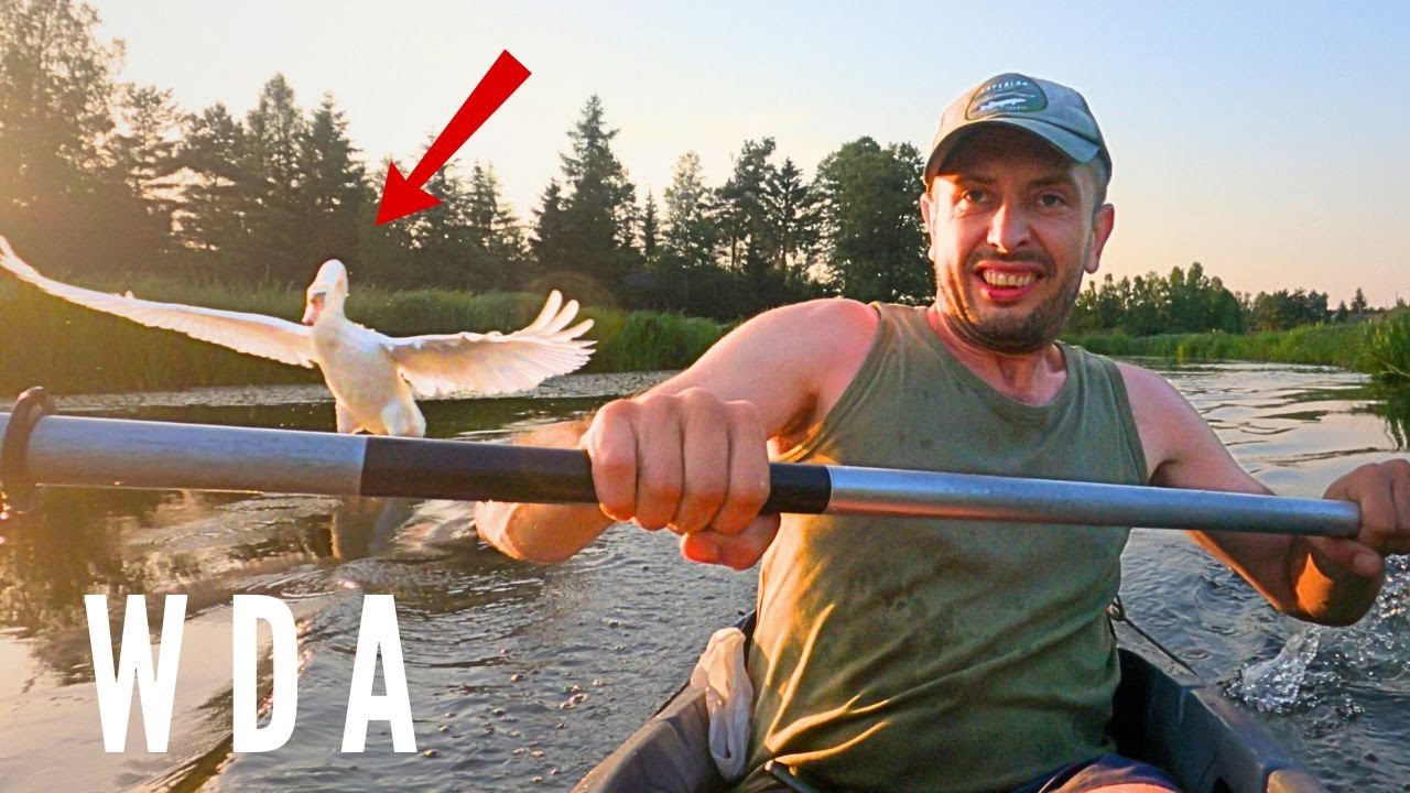 Rzeka WDA - 7 dni samotnej przygody w kajaku | Część 3 - wściekły łabędź 🦢 🔥