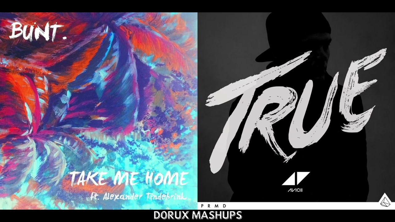 BUNT. ft. Alexander Tidebrink vs. Avicii - Take Me Up (Mashup)