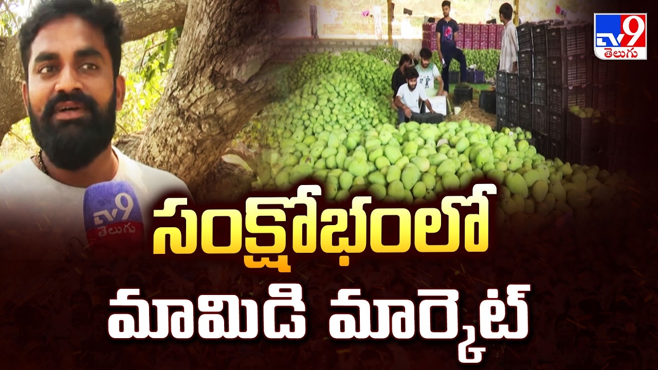 Mango Market Crisis : సంక్షోభంలో మామిడి మార్కెట్ - TV9