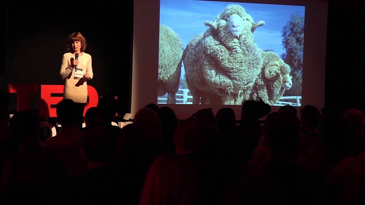 Naturalna wełna materiałem jutra | Basia Chrabołowska | TEDxPoznan