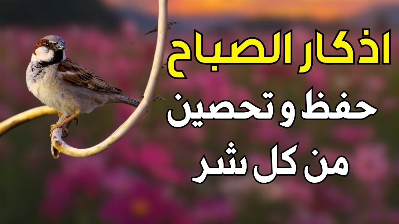 اذكار الصباح بصوت جميل يريح الأعصاب🧡اذا قلته كفاك الله ورزقك من حيث لا تحتسب@DarbelHuda