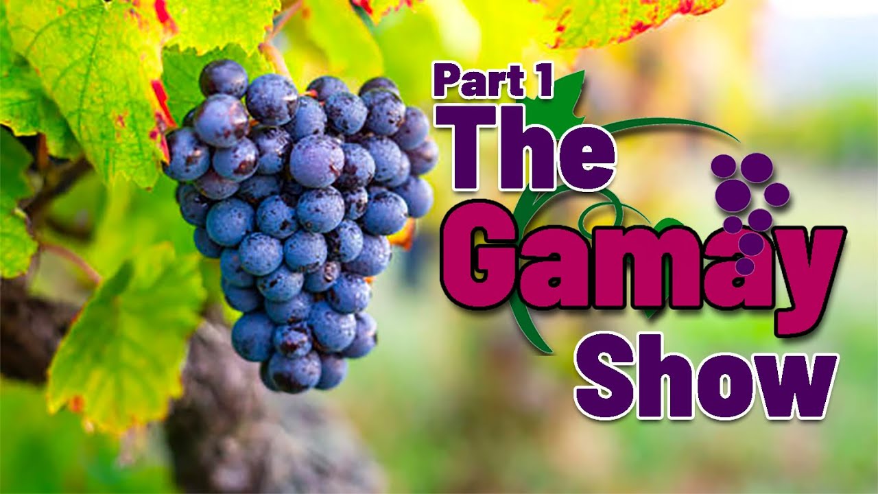 The Gamay Show - Part 1