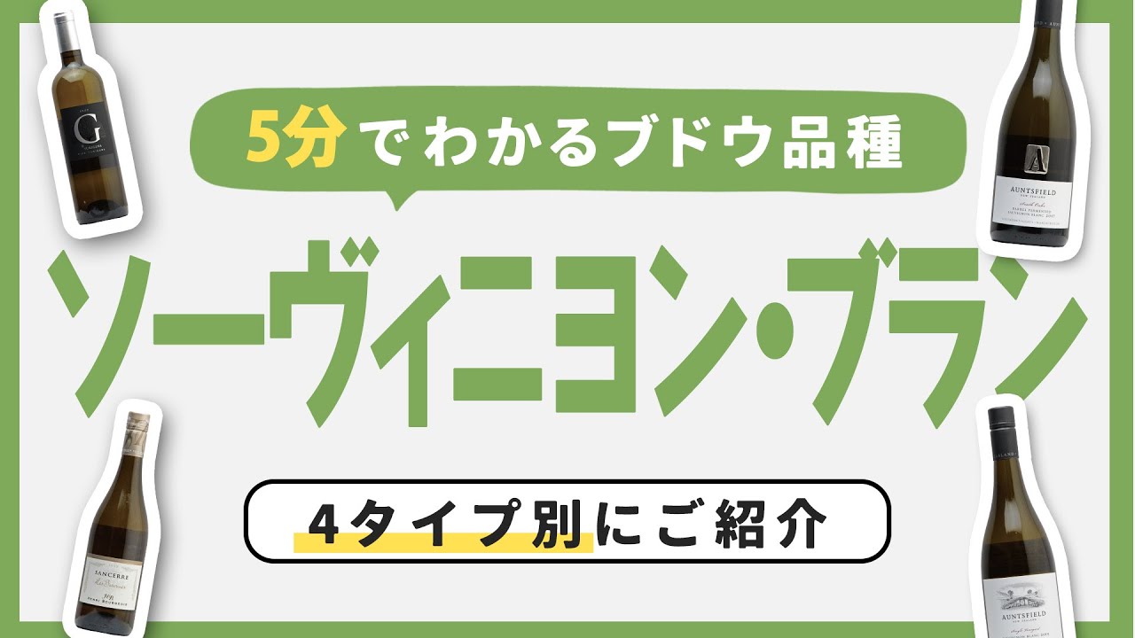【ワイン初心者】タイプ別に紹介！好みのソーヴィニヨン・ブランを選ぶテクニック【ブドウ品種基礎知識④】