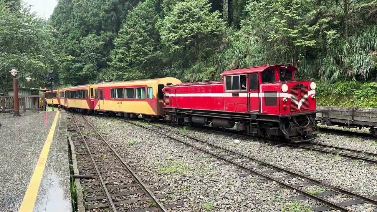 【Alishan Forest Railway】Alishan Express Arrived at Alishan Station (Train NO. 271 Deadhead Train)
