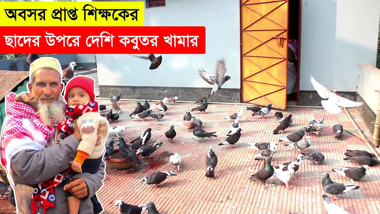 কোন কাজ মহব্বতের সাথে করলে এর ফল পাওয়া যায় জানালেন দেশি কবুতর খামারি অবসর প্রাপ্ত শিক্ষক | BD Pigeon