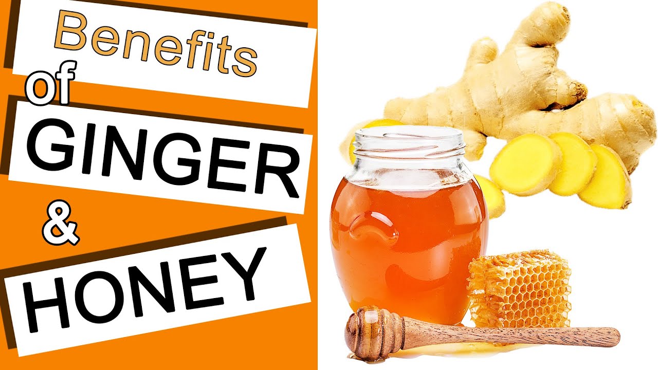 What Does Ginger and Honey Do to Your Body if you Take it Everyday | 6 Benefits of Ginger and Honey