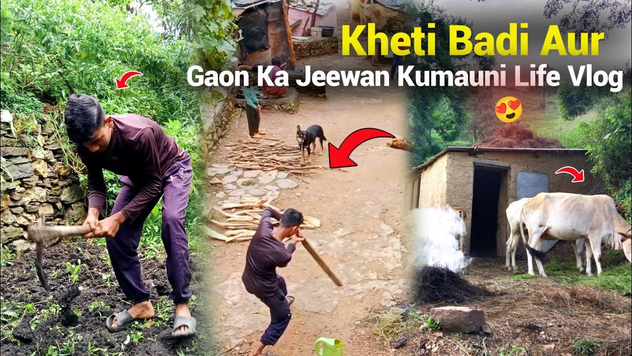 Kheti Badi aur gaon ka jeewan kumauni life vlog 😍❤️ 