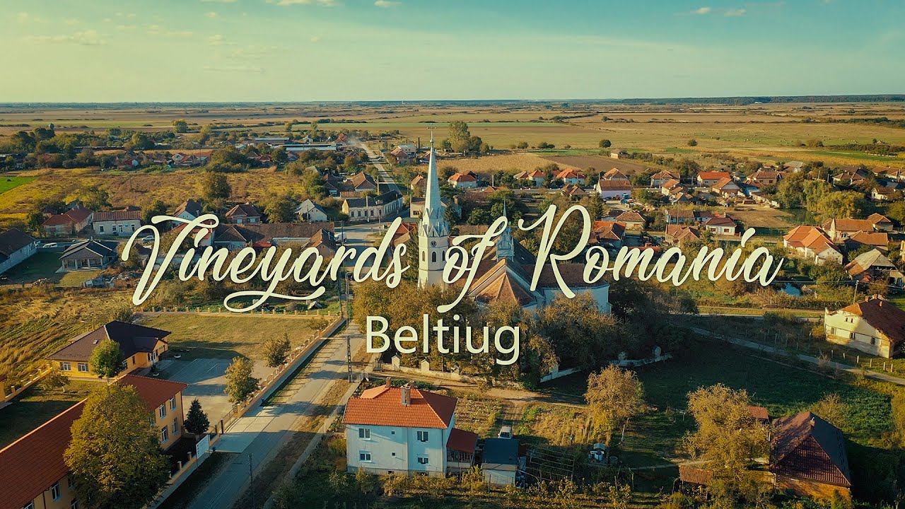 Vineyards of Romania - Beltiug