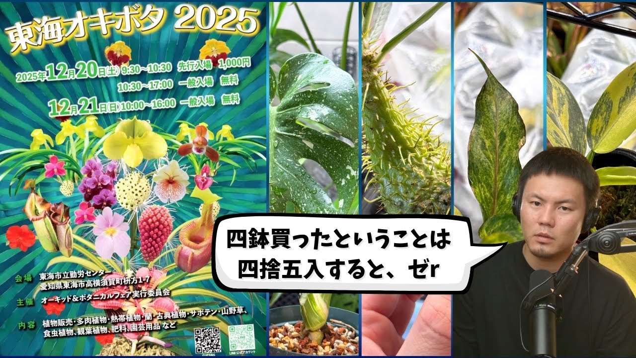 植物イベント『東海オキボタ2025』購入品紹介【観葉植物】