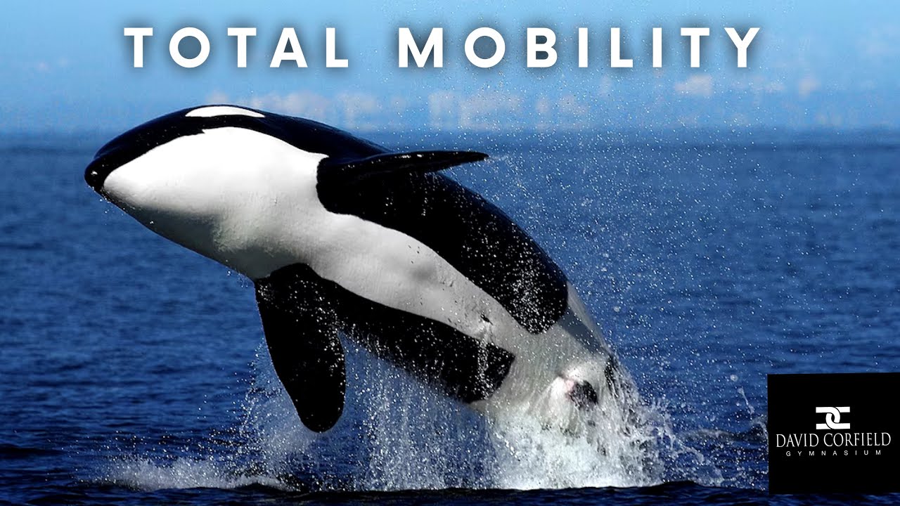TOTAL MOBILITY 6