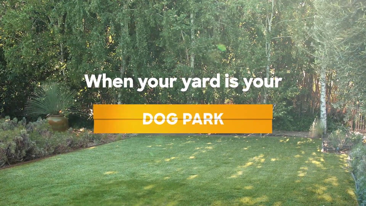 HomeAdvisor Commercial - Multipurpose :06 Yard