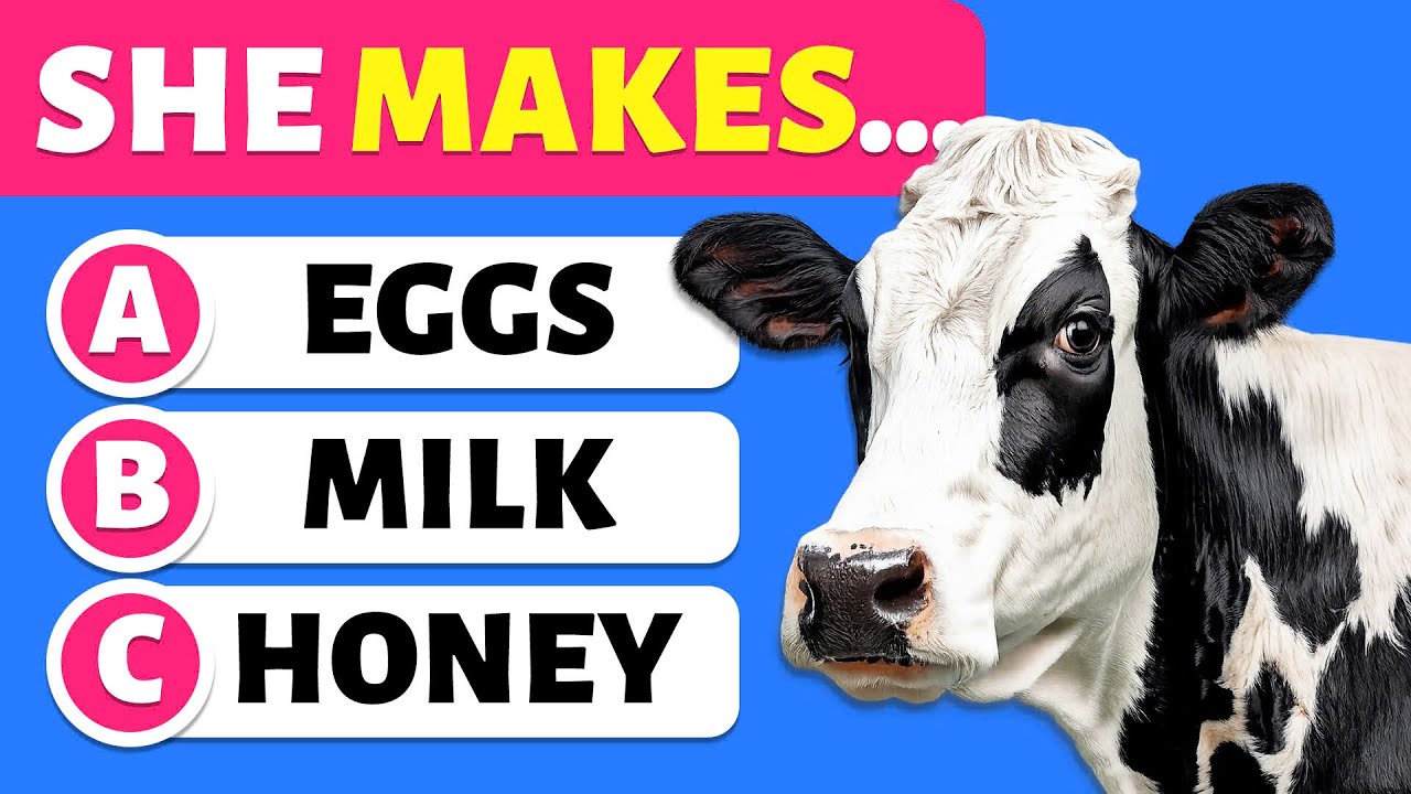 60 General Knowledge Questions 🎒📚✅ | Are You Smarter Than a 5th Grader? | Nemo Quiz
