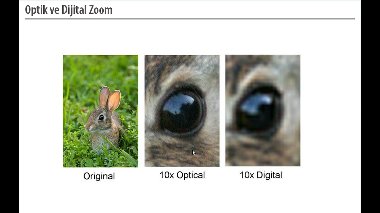Temel Fotoğrafçılık Bilgisi |  Dijital fotoğraf temelleri | Optik ve dijital zoom