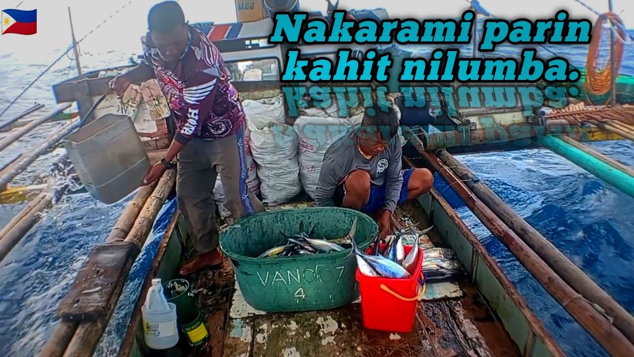 Dumating ang mga dolphin. Sumibad ang mga yellowfin tuna Pag Alis nila!