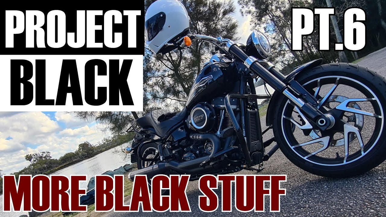 Blacked out SPORT GLIDE- Black rear fender support