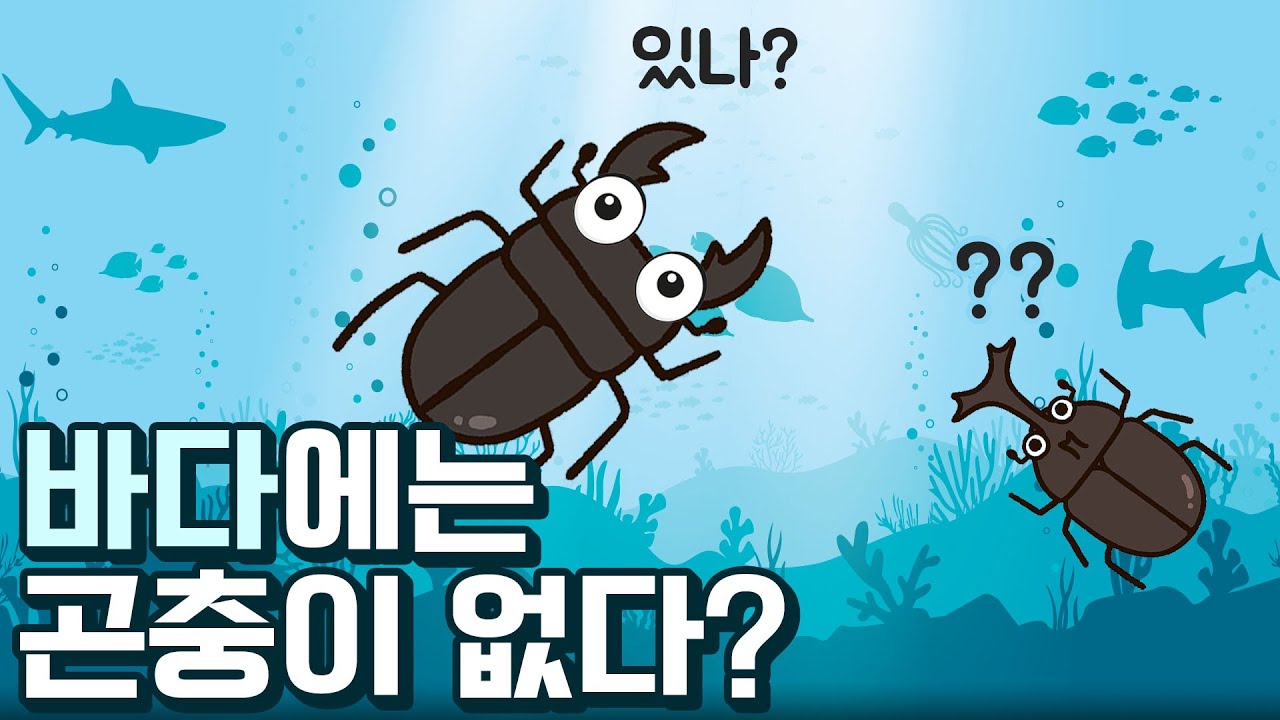 바다에는 곤충이 없다