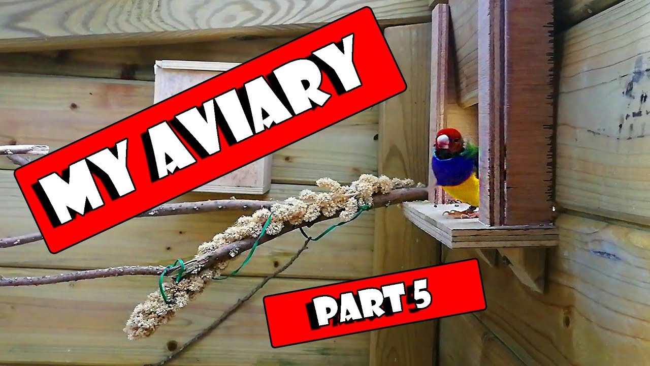 How To Build a Bird Aviary Setup, part 5, the Indoor Area