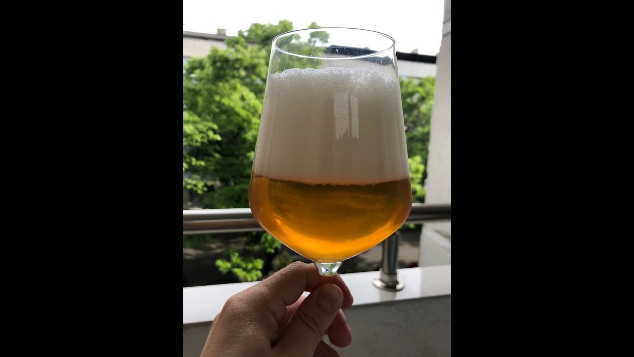 Чешский светлый лагер или пилснер, Варка на Ibrew 40 отварочным методом и дегустация.