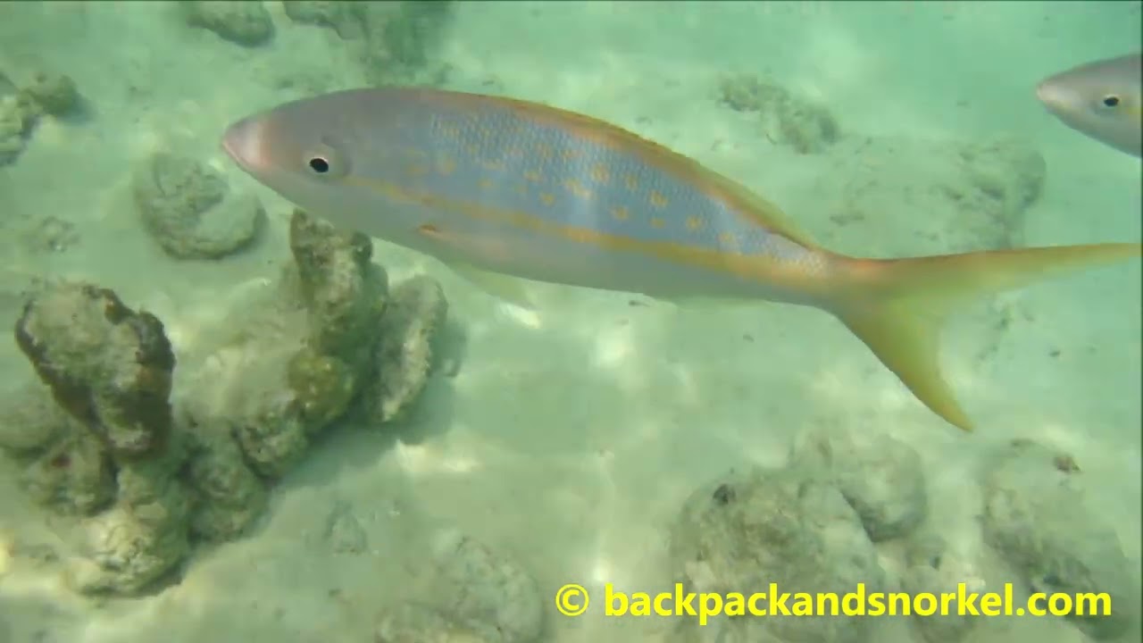 Bight Reef in Providenciales, Turks and Caicos Islands