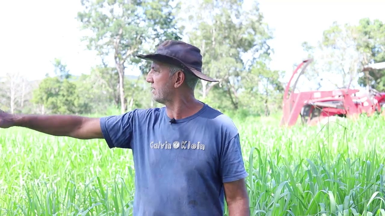 Fazenda Jamel  - a importância da semente de procedência