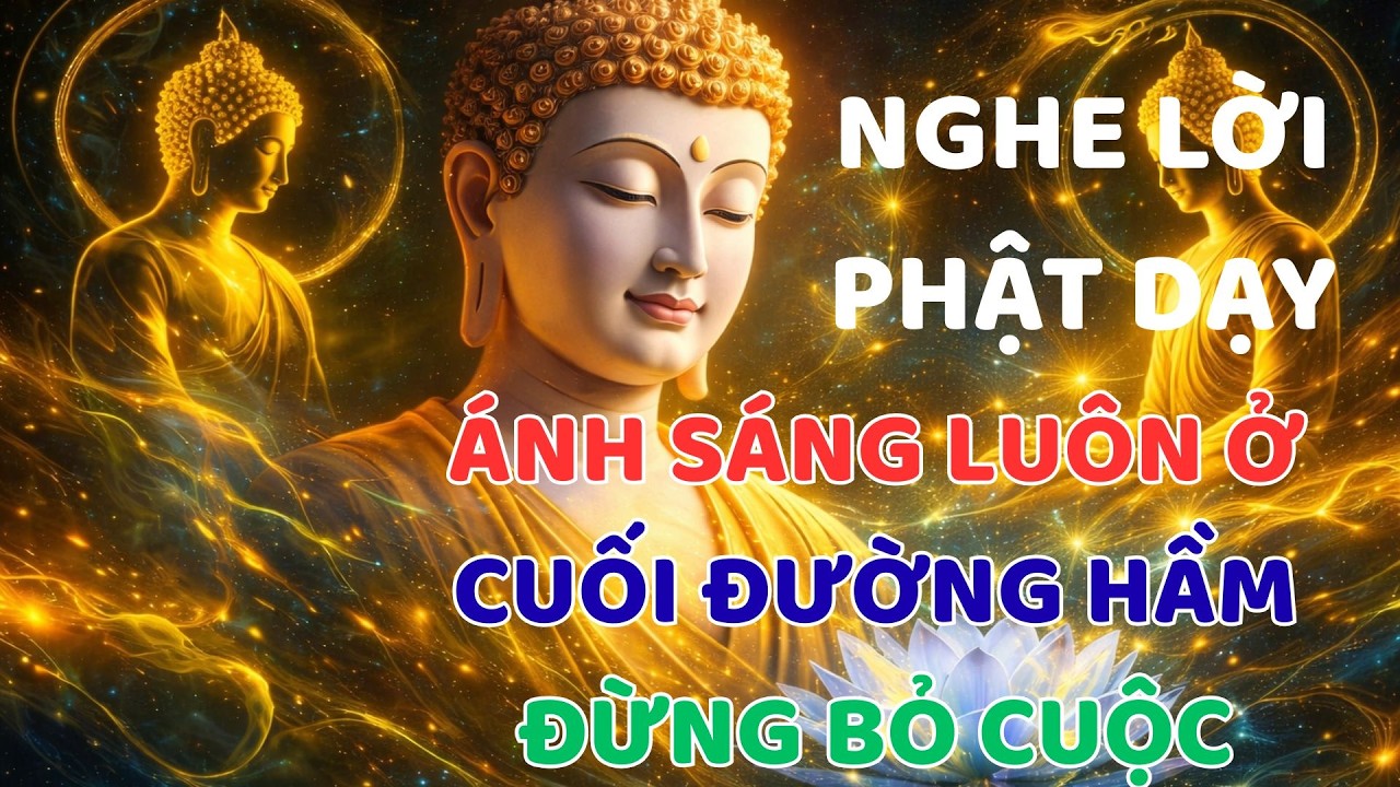 Nếu Định Bỏ Cuộc Hãy Xem Ngay Trước Khi Quá Muộn - Lời Phật Dạy!