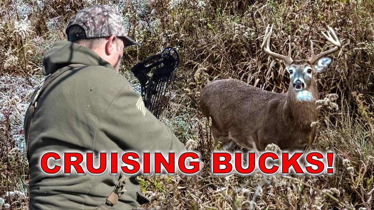 CRUISING NOVEMBER BUCKS! (Snort Wheeze Footage)