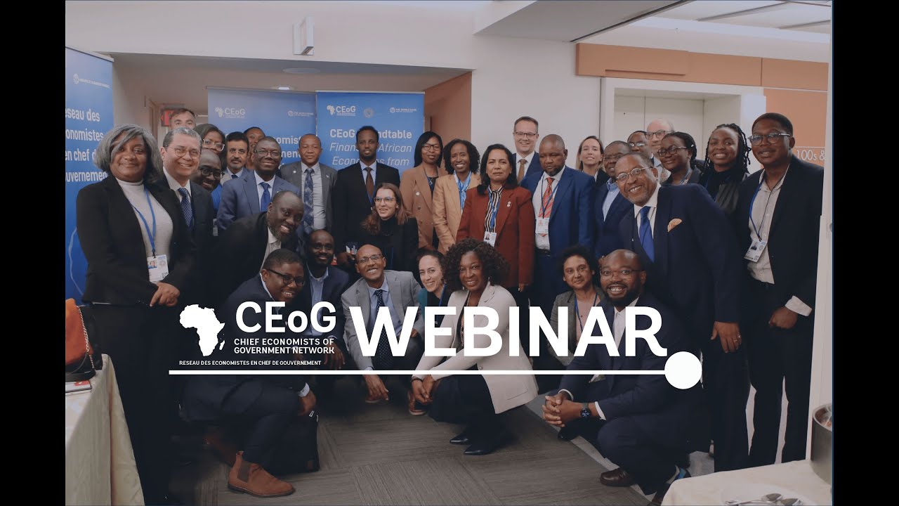 Financing African Economies from Within- CEoG Roundtable