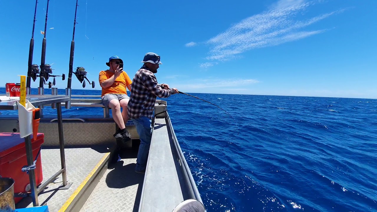 Whiskery Shark landed by Adam near Emu Bay, Kangaroo Island