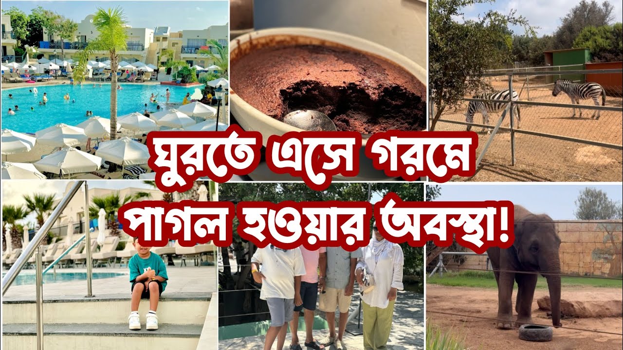 চিড়িয়াখানার পশুপাখিও গরমে অতিষ্ট! সাইপ্রাসের চিড়িয়াখানায় একদিন! #bangladeshimumuk 