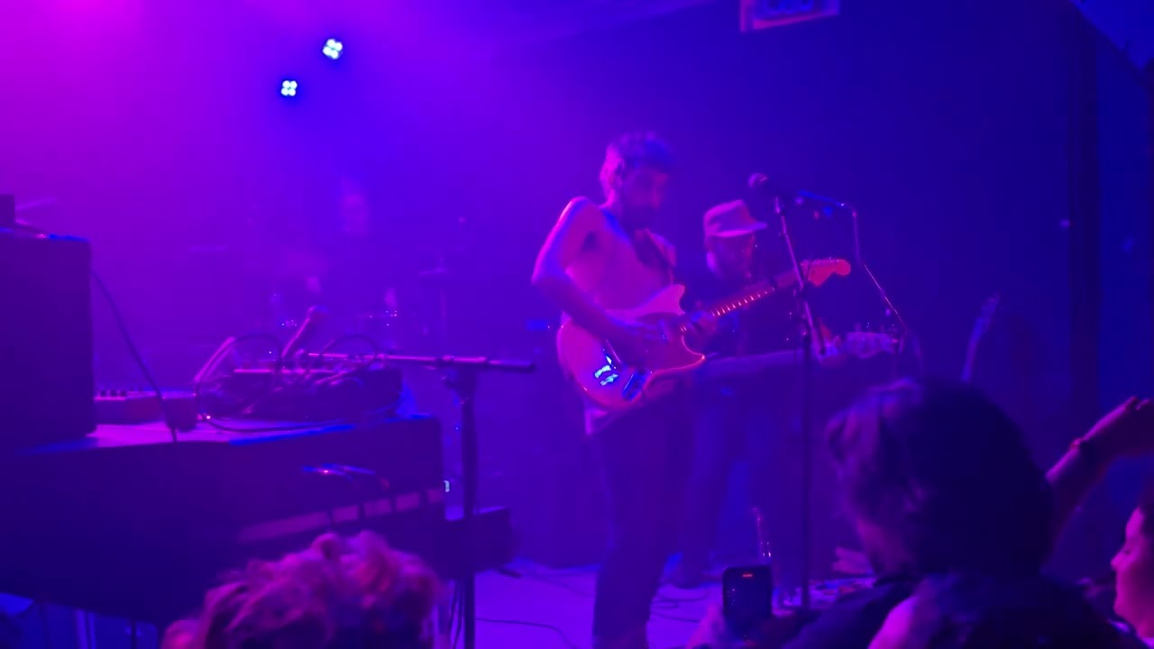 Leif Vollebekk - Live in Vienna - Purple Rain (Prince Cover)