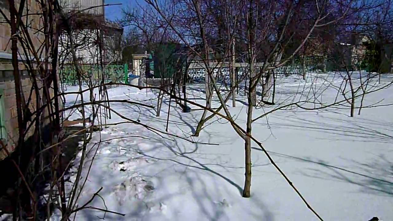 Panasonic DMC-FS10 test video
