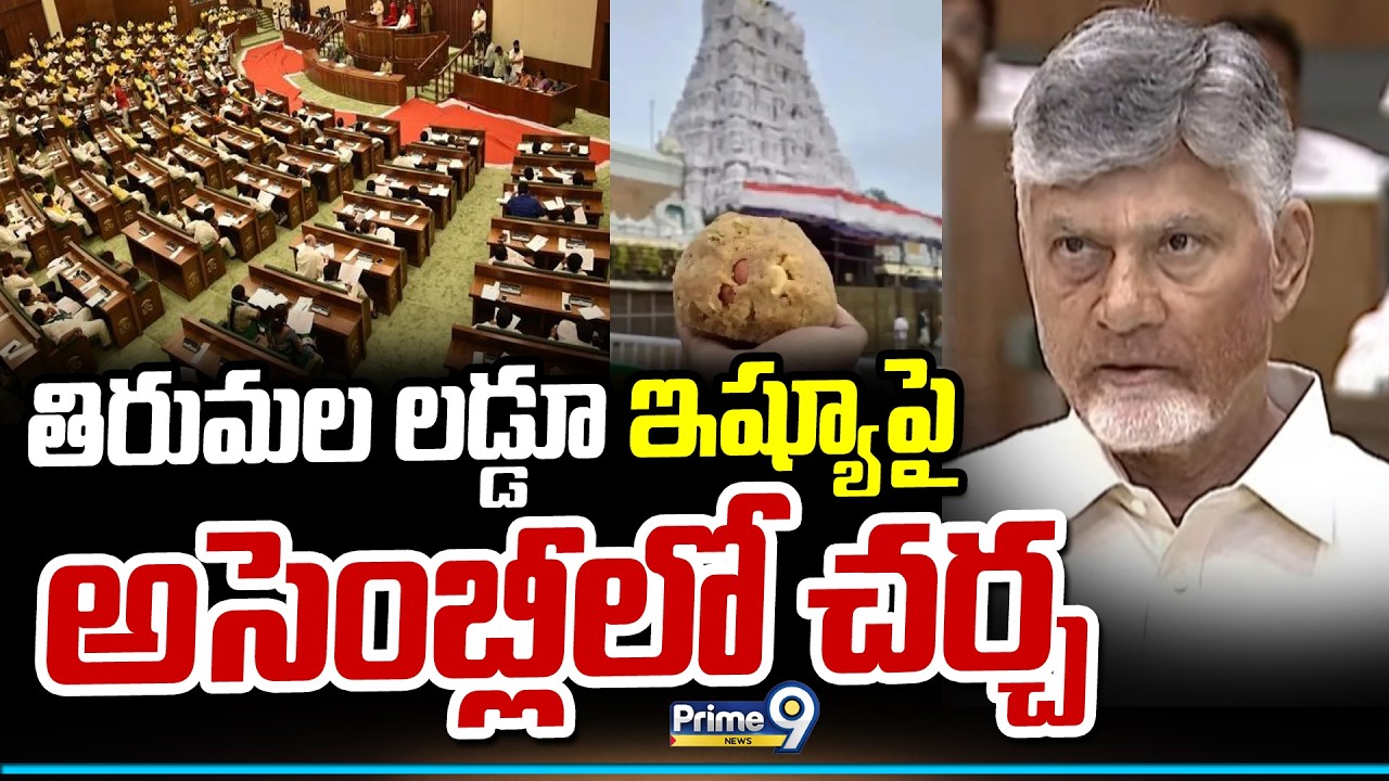 తిరుమల లడ్డూ ఇష్యూ పై అసెంబ్లీలో చర్చ | CM Chandrababu | Prime9 News