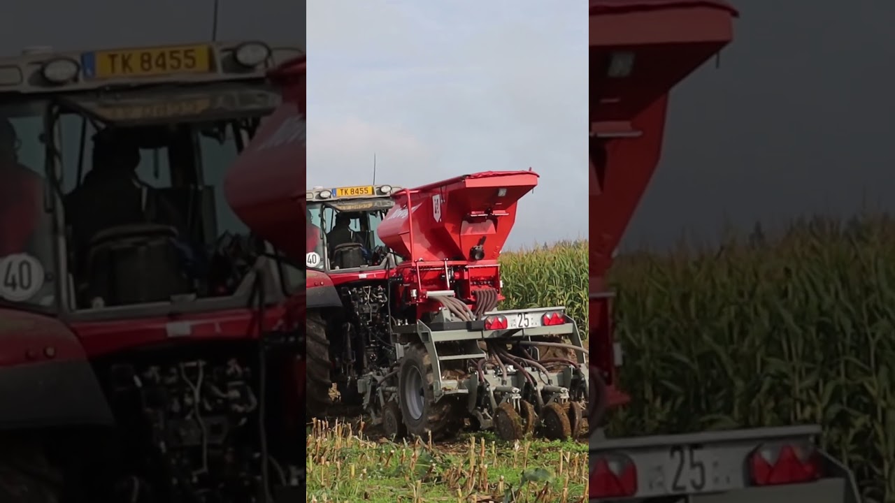 Triticale #Direktsaat nach Mais mit Novag T-ForcePlus 150 + Massey Ferguson 6475 | Luxemburg 2024