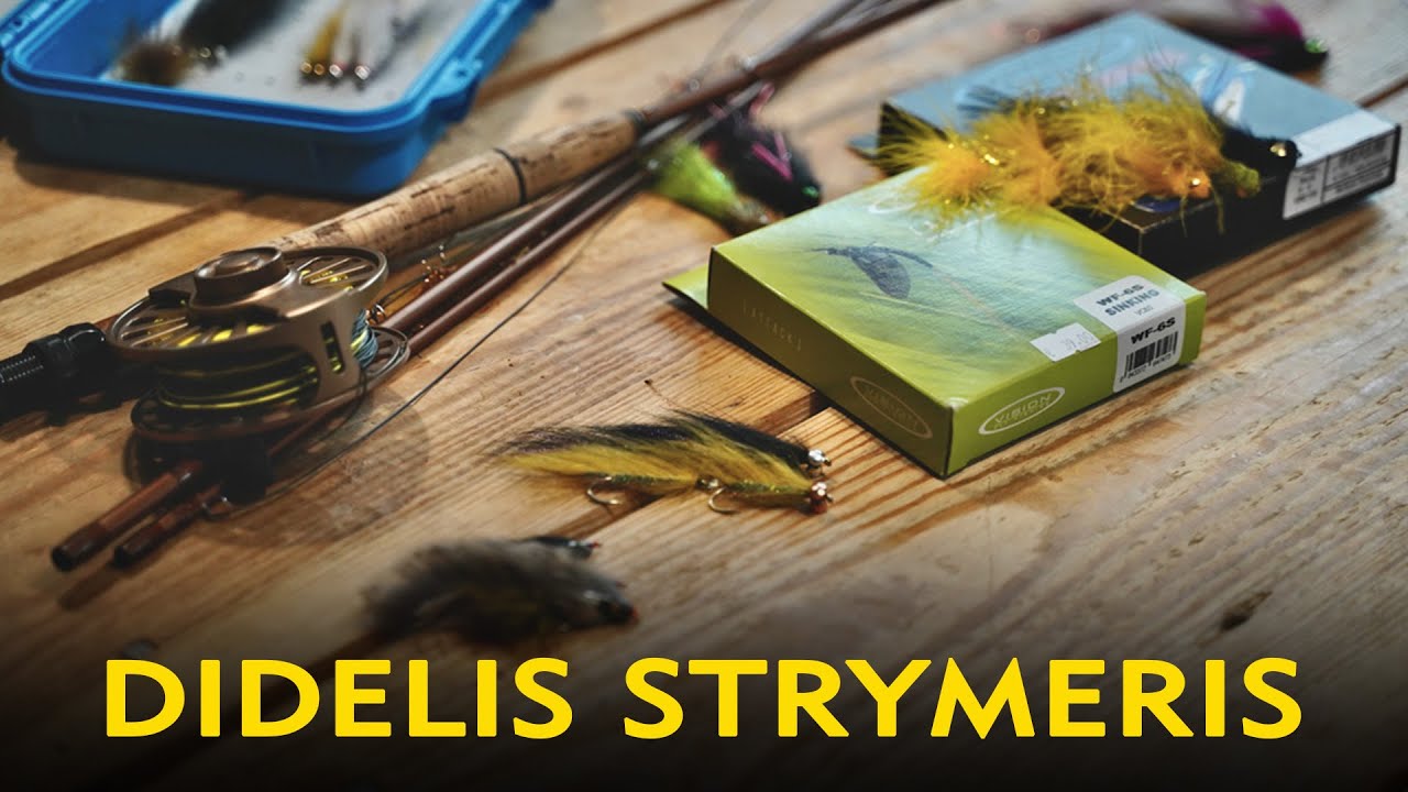 Upėtakių žvejyba ir didelis strymeris