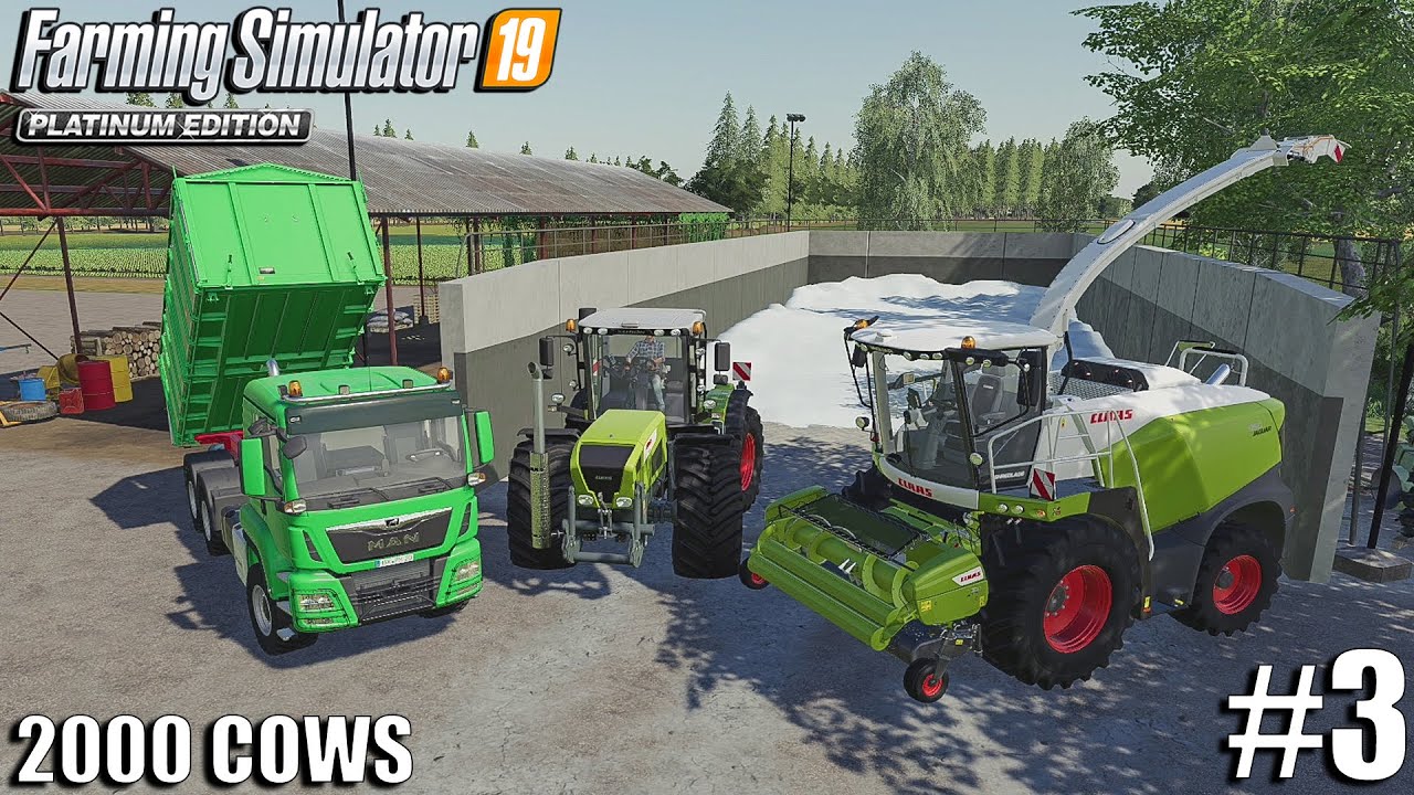 Making Alfalfa Silage | Tending to 2000 Cows Farm | Farming Simulator 19 | #3