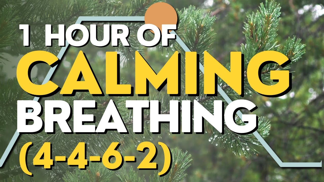 1 Hour of Calming Breathing (4-4-6-2)