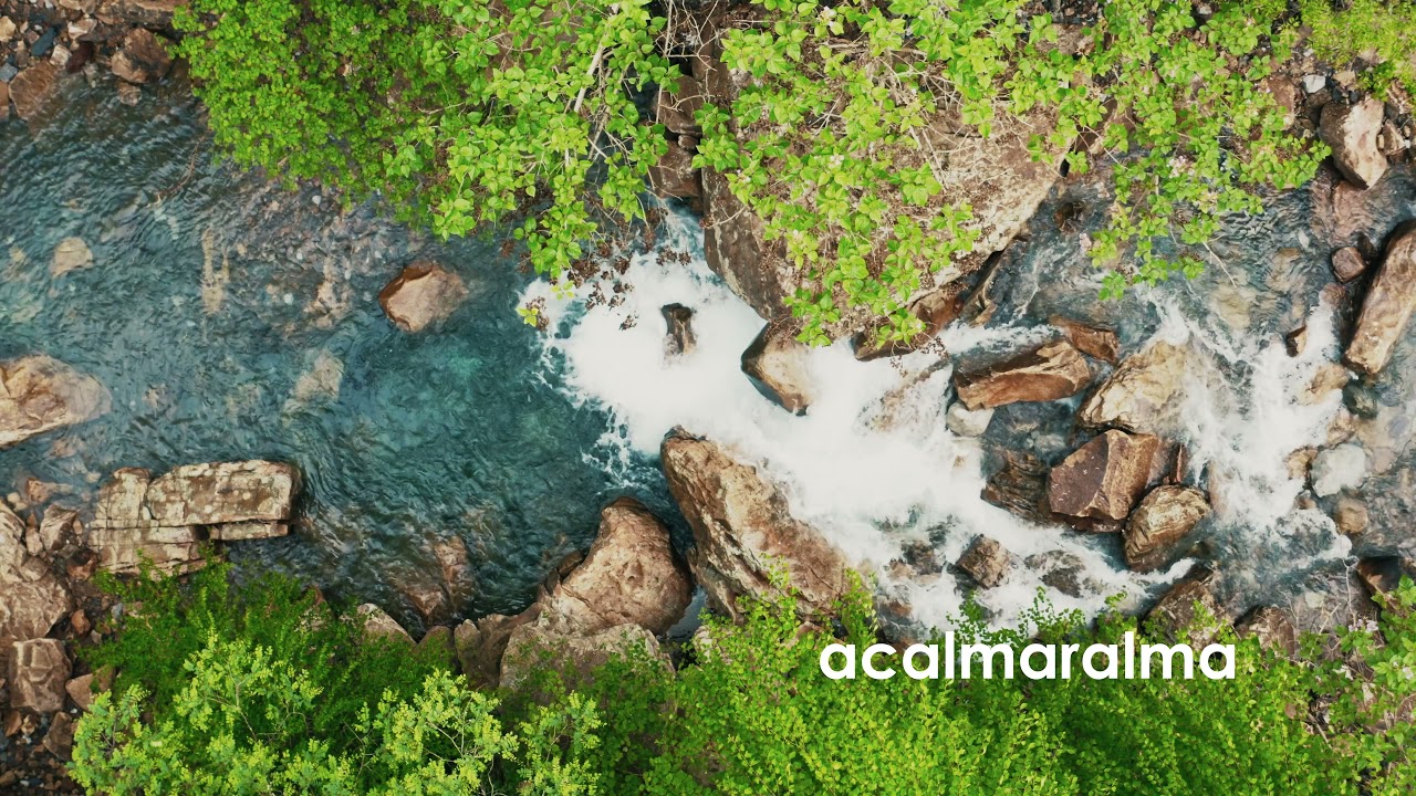 M&uacute;sica Para Equil&iacute;brio Do Corpo - Acalmaralma