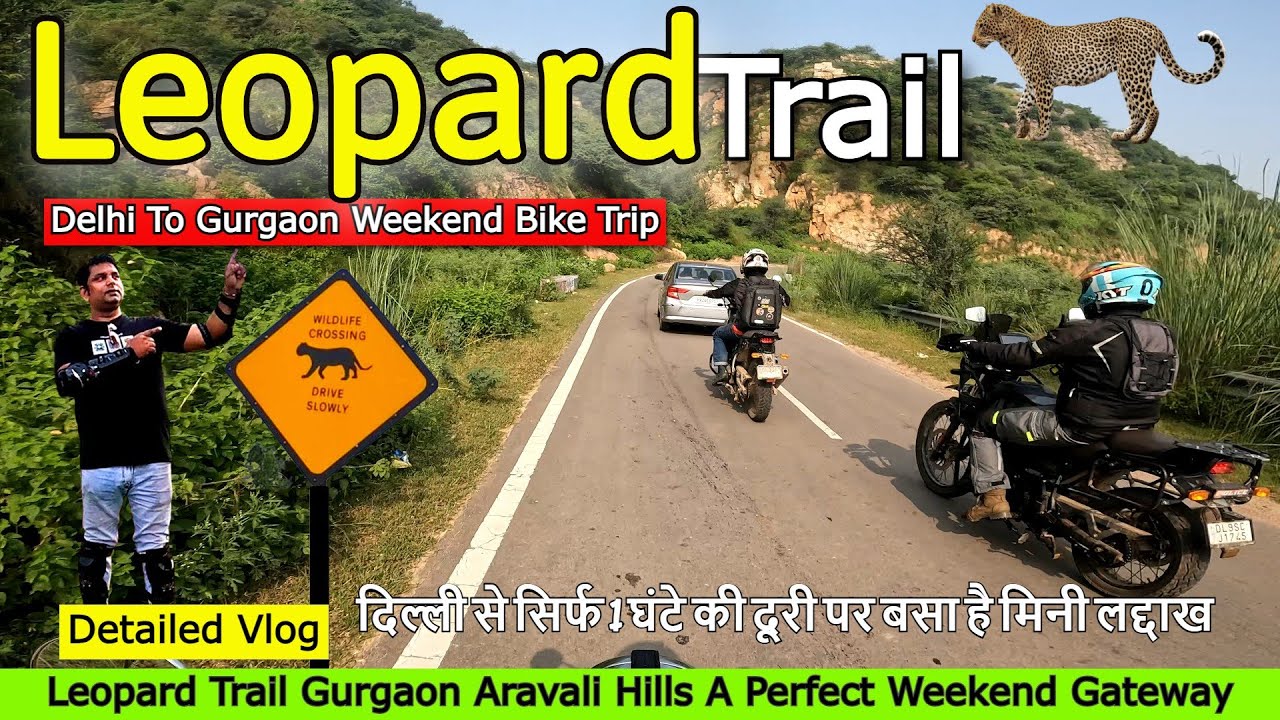 Leopard trail Gurgaon | Delhi To Leopard Trail on Bike | Discover the Hidden GEMS of Aravalli Hills