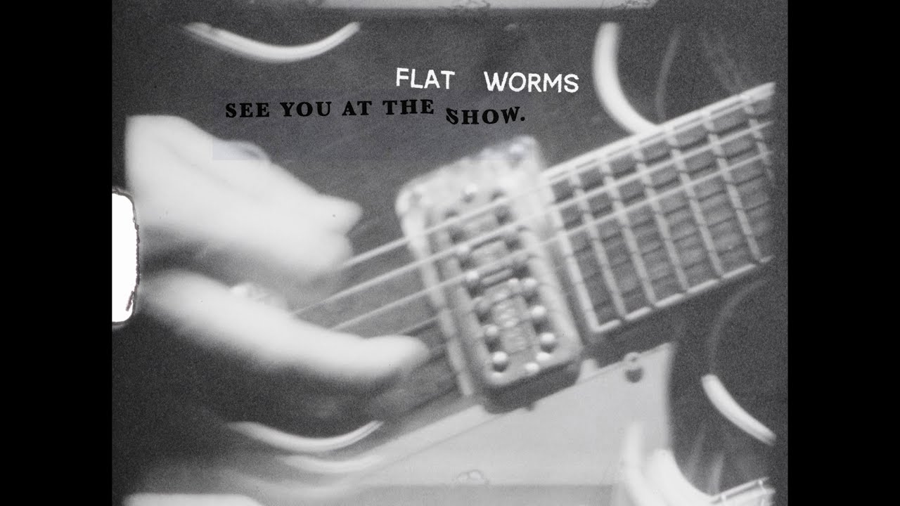 Flat Worms 
