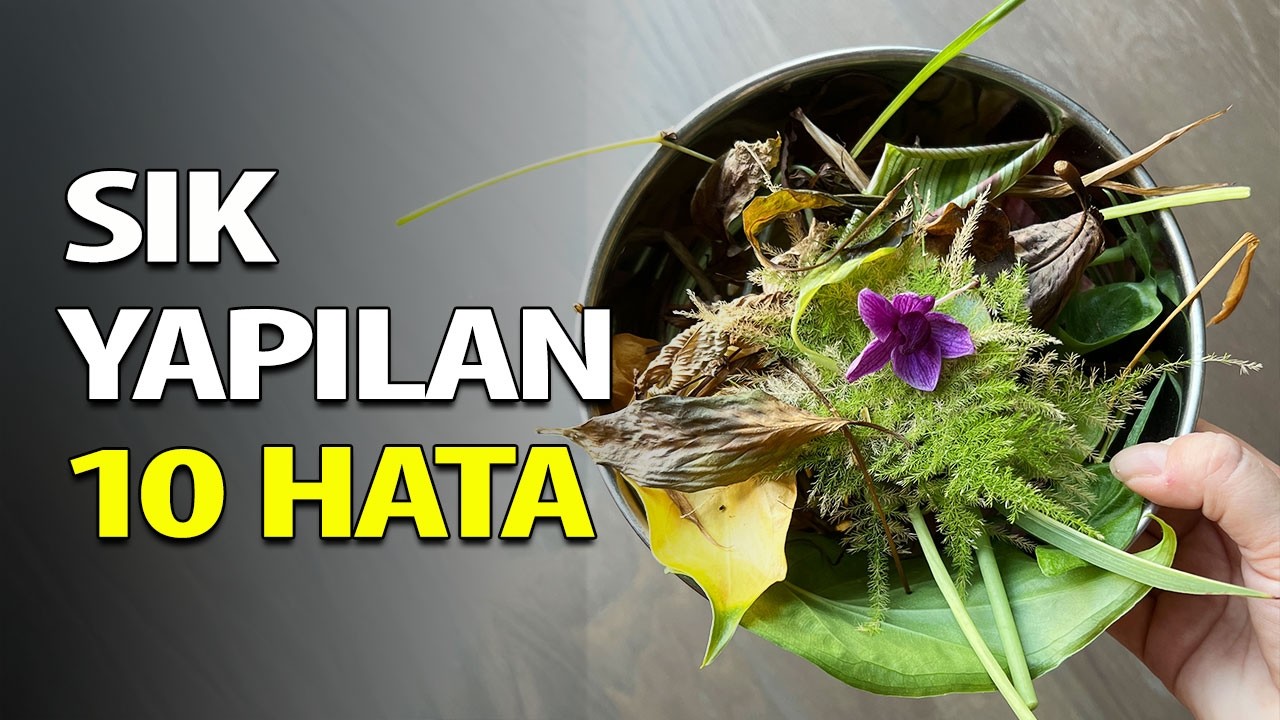 Sık Yapılan 10 Bitki Besini Hatası 📍Bu Hataları Yapmayın!