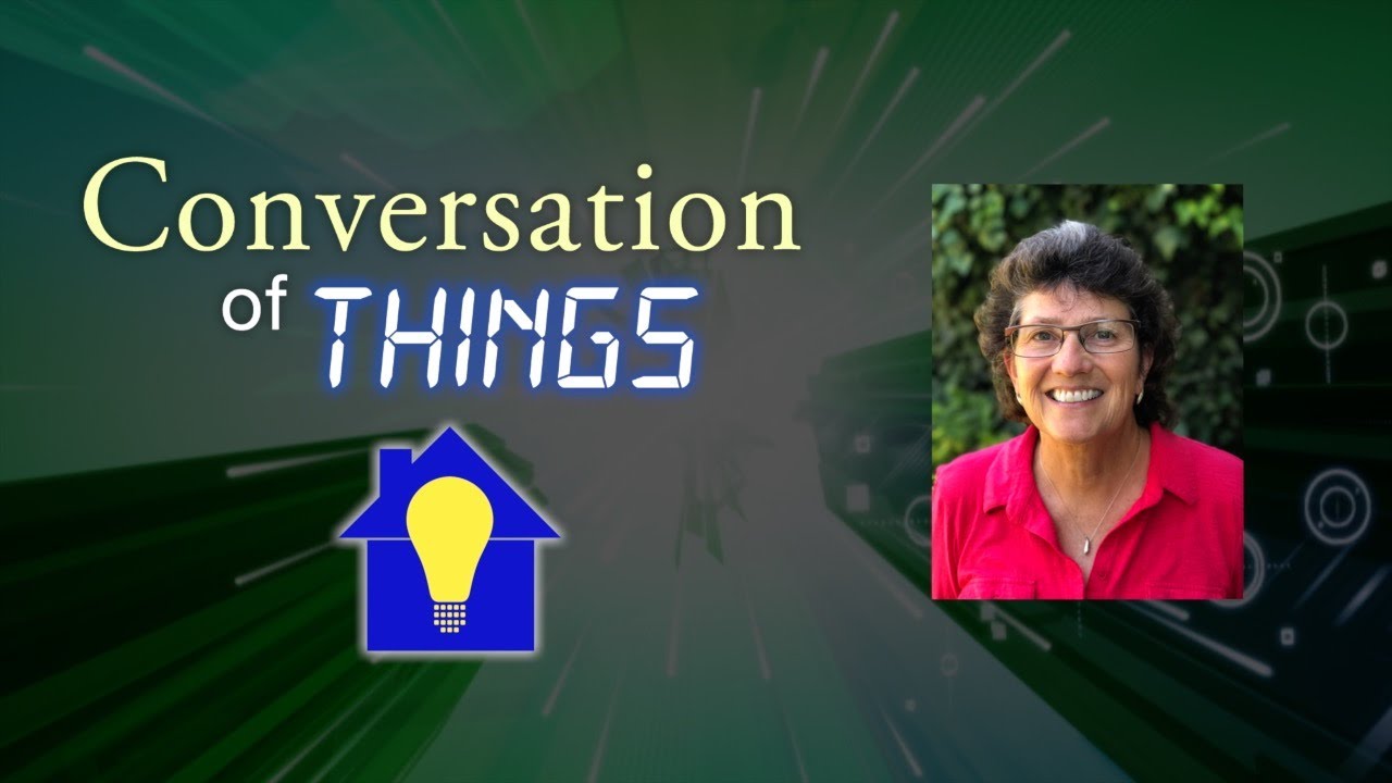 Conversation of Things #1 - Allison Sheridan